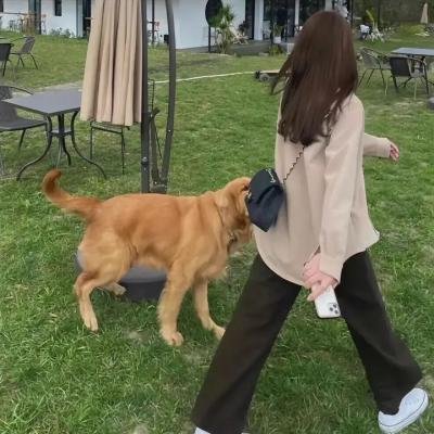 冒名顶替